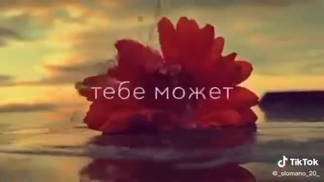 Почти все, кого ты сейчас так сильно любишь, когда-нибудь забудут твоё имя😭💔 смотреть онлайн