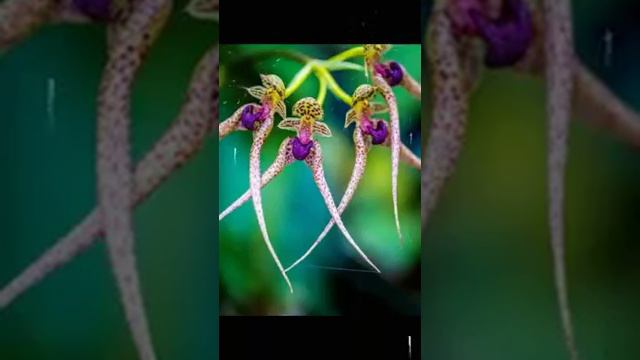 7 апреля 2018 г. смотреть онлайн