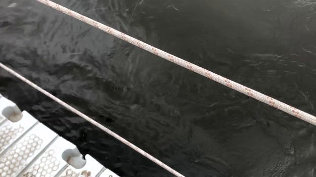 Забагрил зеркального Карпа смотреть онлайн