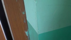 Электрические лифты V=1 м-с, грузоподьемность 320, 500 кг (1117)