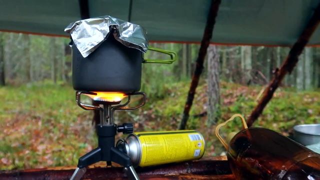 All Seasons ? Camping In My Bushcraft Shelter In Forest,ASMR.