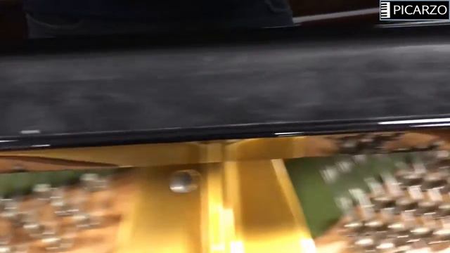 Picarzo Pianos C Bechstein B Video Tour - 2002 C Bechstein 6'10" Model B Polished Ebony Grand Piano смотреть онлайн