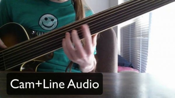 Fretless 7 String Acoustic Bass