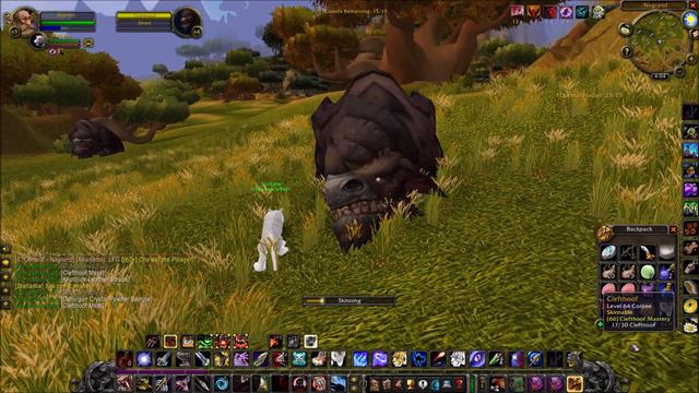 Nesingwary Safari | Clefthoof Mastery Part One | BM Hunter (Classic TBC) смотреть онлайн