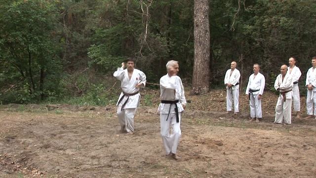 Шисочин. Исп. С. Соловьев и В. Киндяков. 38-й экзамен по каратэ. Харьков-2018 Karate смотреть онлайн