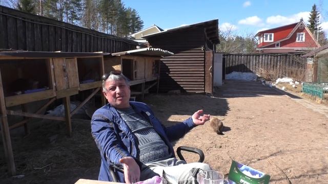 В гостях у Рафика Рустамова. "Какие голубятники, такие и голуби" смотреть онлайн