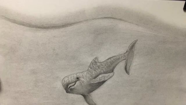 Рисуем дельфина / draw a Dolphin смотреть онлайн