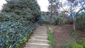 США: Russian Hill - San Francisco. Самая кривая улица - Lombard street. Молокане в Калифорнии