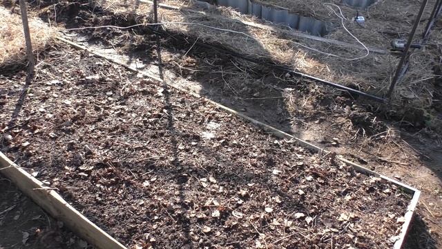 ОПРЫСКИВАНИЕ, ПОБЕЛКА ПЛОДОВЫХ И ДРУГИЕ РАБОТЫ НА ОГОРОДЕ В МАРТЕ. смотреть онлайн