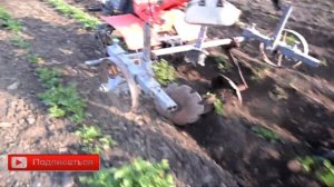 Самодельные лепестковые окучники из газового баллона для мотоблока/Окучиваем картофель