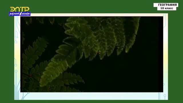 10-класс | География | Минеральные и земельные ресурсы мира. Водные, биологические ресурсы смотреть онлайн