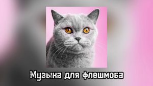 Музыка для флешмоба