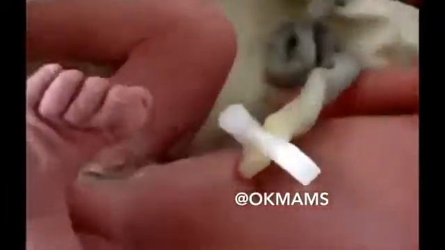 Перевязка пуповины смотреть онлайн