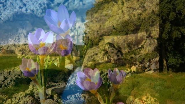 BÚRANKA orchestrální polka Peter Studenič смотреть онлайн