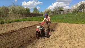 ВСПАШКА ВЕСЕННЯЯ МОТОБЛОКОМ. Четыре участка за день.