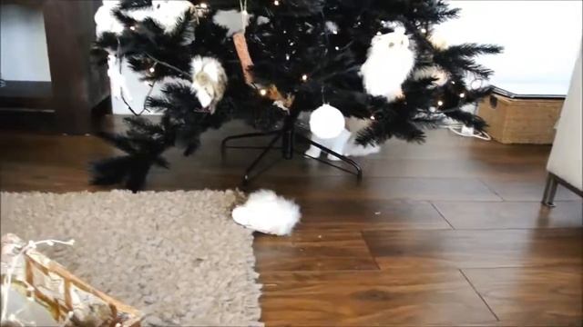 Прикольные котики играют с елкой - Новый ГОД смотреть онлайн