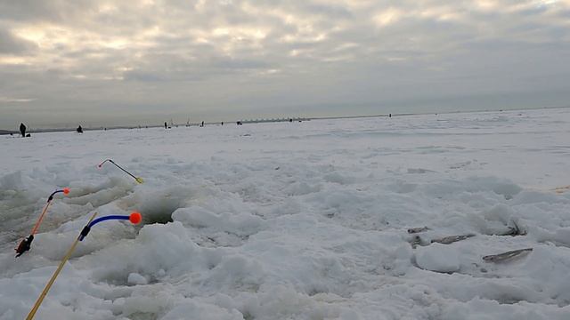 Финский залив Корюшка. Рыбалка на корюшку 28 декабря 2021 в СПб. смотреть онлайн