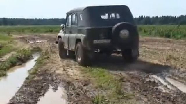 В поисках Лесного озера смотреть онлайн