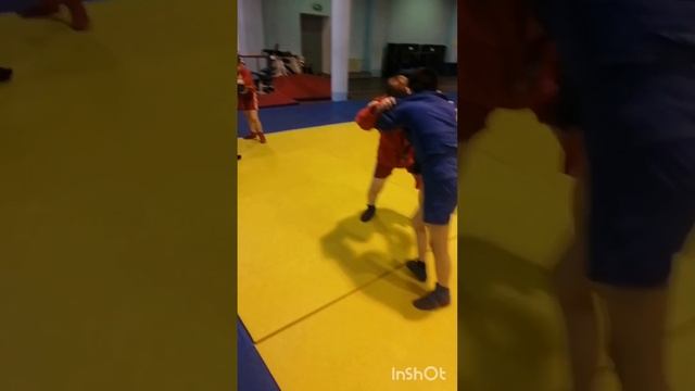 Детская тренировка по самбо, тренер Потапов Денис Сергеевич, МИИТ смотреть онлайн