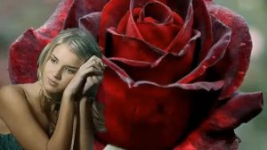 Алые розы ПЕСНЯ РВЕТ ДУШУ