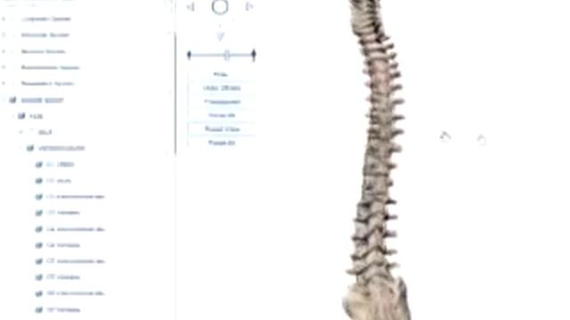 Visible Body: Human Anatomy Atlas