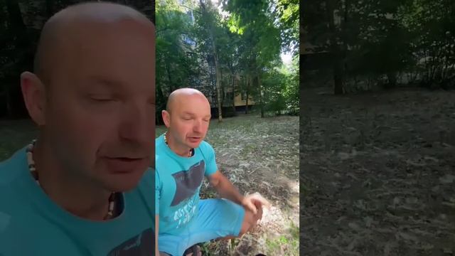 Безопасный дом. Угроза пожара рядом. Как москитная сетка может спасти дом или квартиру от пожара. смотреть онлайн