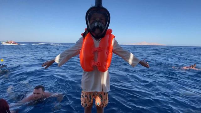 Мой отдых. Rehana Royal Beach Resort Aqua Park & Spa 5*. Египет