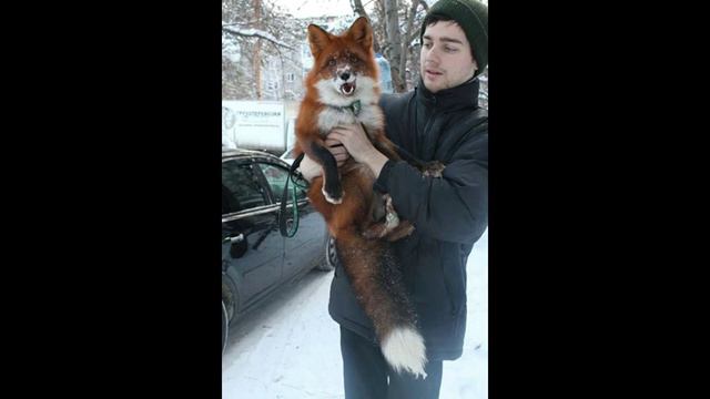 в мире есть хорошие люди. смотреть до конца!