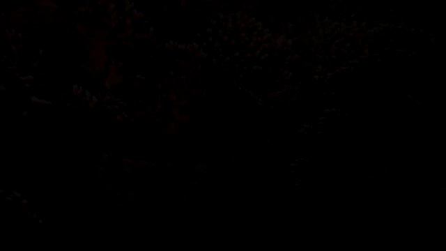 Ras Ghamila - Coral Sea Sensatori смотреть онлайн