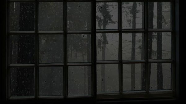 Rem Core Deep Sleep Rain Sounds - Rain Sounds 30 min - Window Rain Sounds for Sleep ASMR