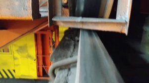 Износ рельсы и риборды колеса крана