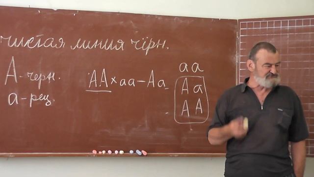 92 Анализирующее скрещивание смотреть онлайн