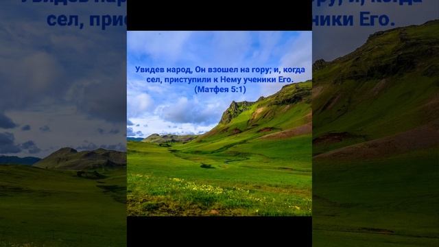 Родословие.....