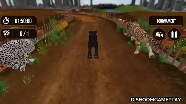 Black Wild Panther Crazy Racing (by Storm Of Games) Panther Vs Tiger - Android Gameplay #2 смотреть онлайн