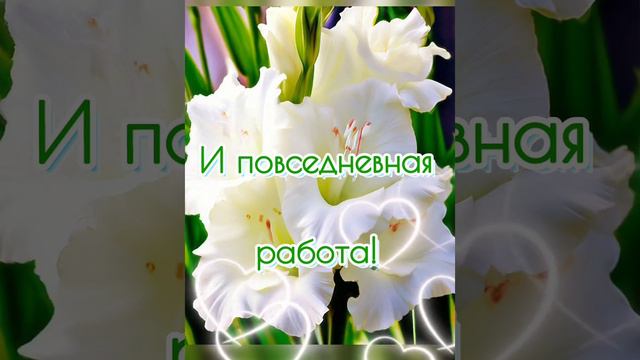 С прекрасным добрым утром! 🌞😍❤️ смотреть онлайн