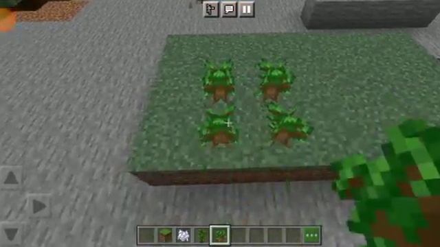 Как нормально выростить деревья Тёмный дуб и Тропическое дерево .Большие деревья. Minecraft