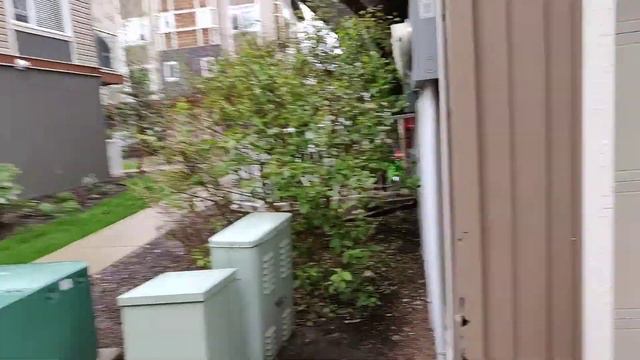 Погода в Канаде (Калгари) смотреть онлайн