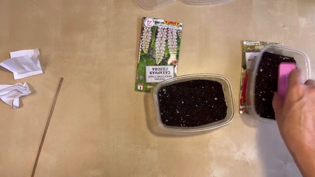 Люпин из семян смотреть онлайн