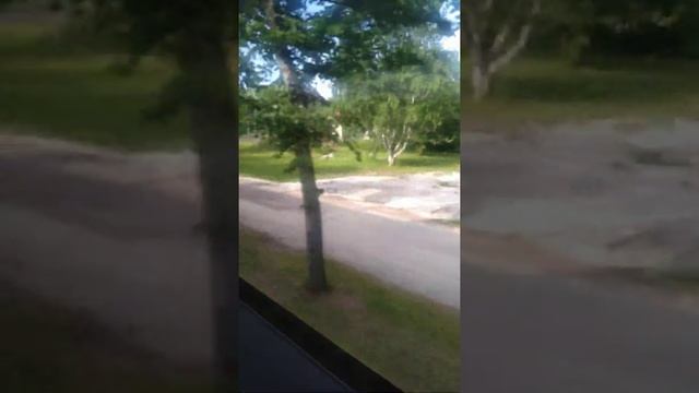 Париккала, Финляндия. вид с овтобуса смотреть онлайн