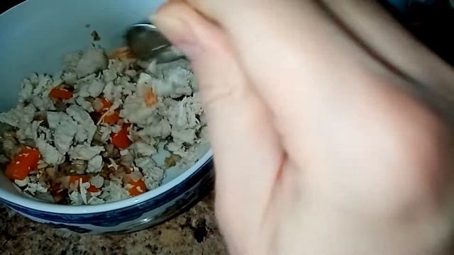 Vlog/Готовим для собак/Натуральный корм для йорка/Cooking for Dogs/Natural Yorkie Food смотреть онлайн