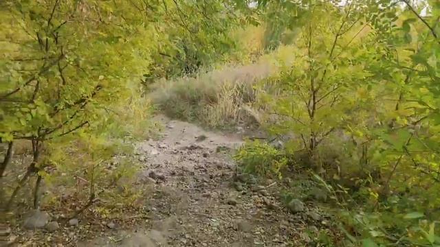 Тропа «сдохни или умри» для спуска к Волге у шиномонтажки на Спартановке возмутила волгоградцев смотреть онлайн