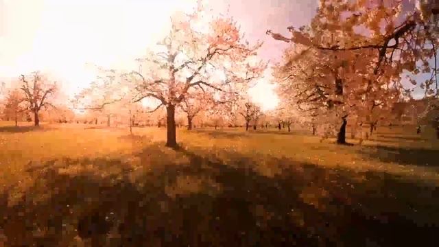 Руна Дагаз / Цикл III. Выпуск 9 / Руны и мы смотреть онлайн