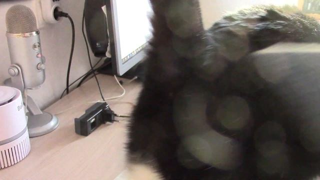 Google Объектив - удобный инструмент, чтобы познавать мир вокруг с помощью камеры или фото. смотреть онлайн
