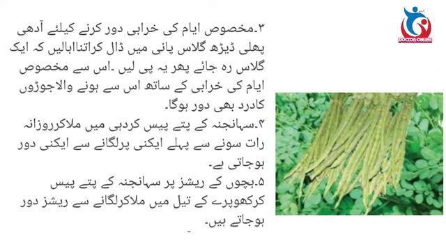 Benefits Of Moringa/سہانجنہ کے زبردست فوائد