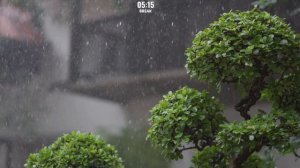 2-Hour Study With Me | Quran recitation | Lofi Quran With Rain | pomodoro 50/10