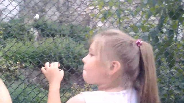 Три полярные совы смотреть онлайн