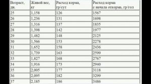 Показатели роста и количества корма по дням. Бройлер Росс 708