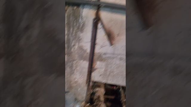 тараканы это не только... смотреть онлайн