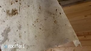 Конденсат на чердаке.