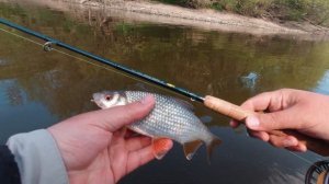 Евронимфинг ( Euro Nymphing ) весной. В поисках матёрого чебака.